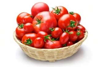 Tomato 10 KG